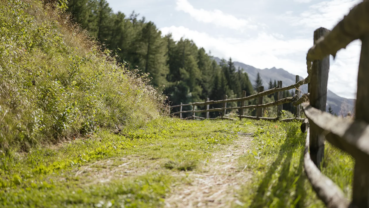 Zahlreiche Wandermöglichkeiten in der Nähe von Algund erkunden. Zahlreiche Wandermöglichkeiten in der Nähe von Algund erkunden.