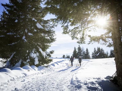 Wandern im Weißen