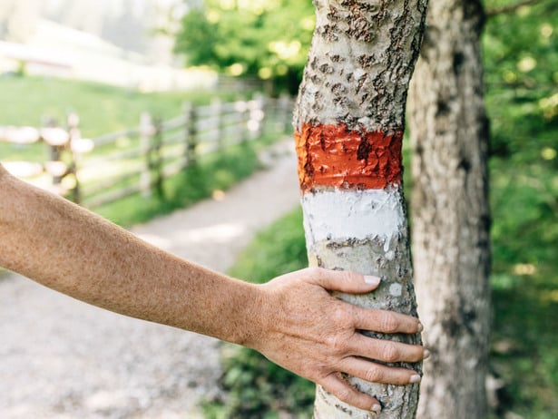 Hand auf einem Baum der mit einer Wanderwegsmarkierung gekennzeichnet ist