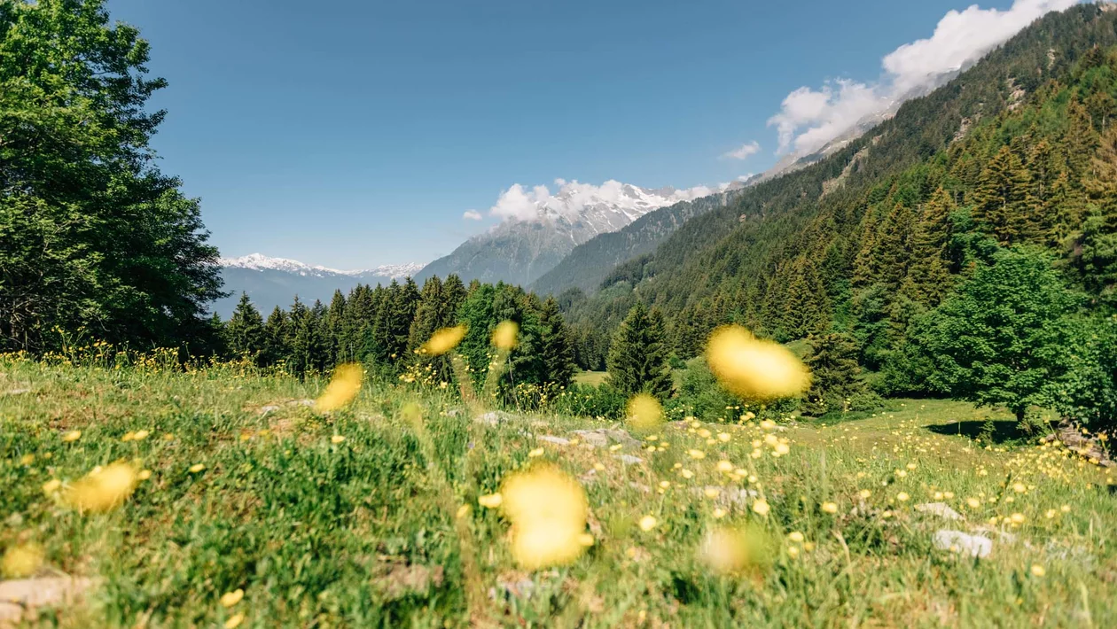 Mit dem Flugzeug nach Südtirol