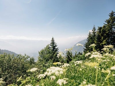Invitation to rethink