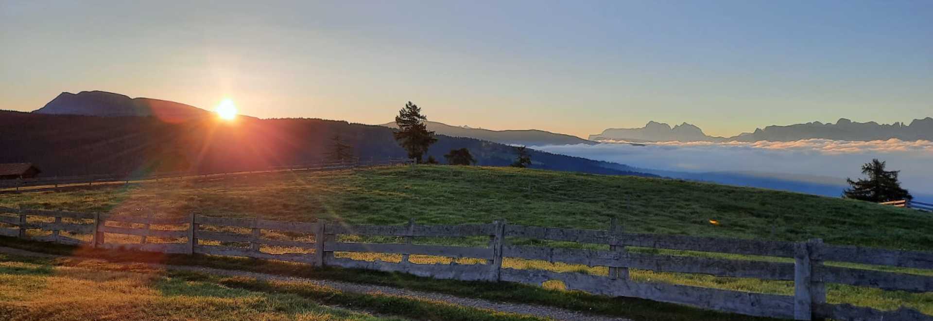 Wandern in Algund und Umgebung