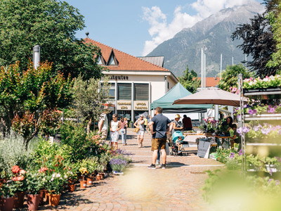 Frühlingsevents