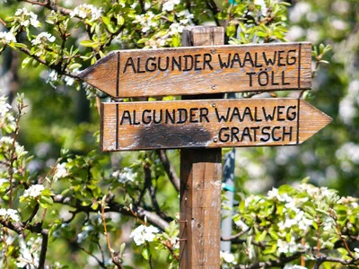 Zauberhafte Blüte
