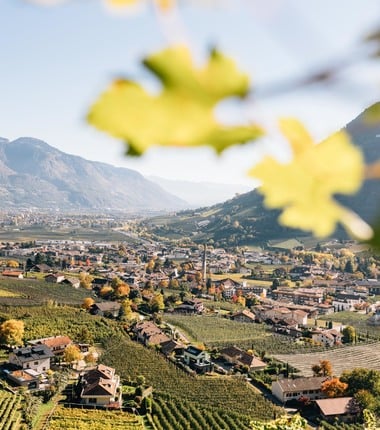 The village in late summer
