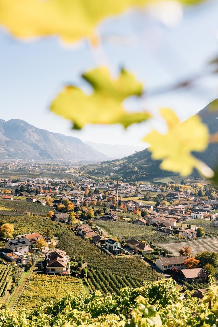 The village in late summer