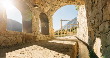 Vite d'oro a Plars di Sopra