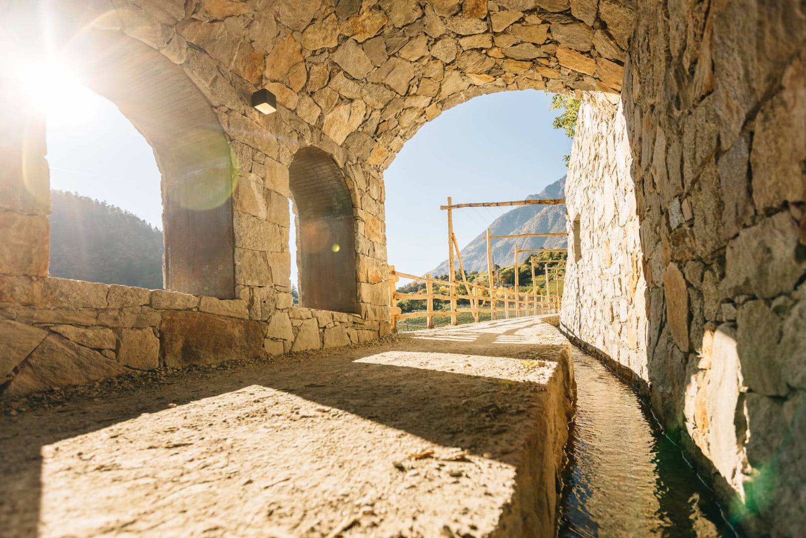 Vite d'oro a Plars di Sopra
