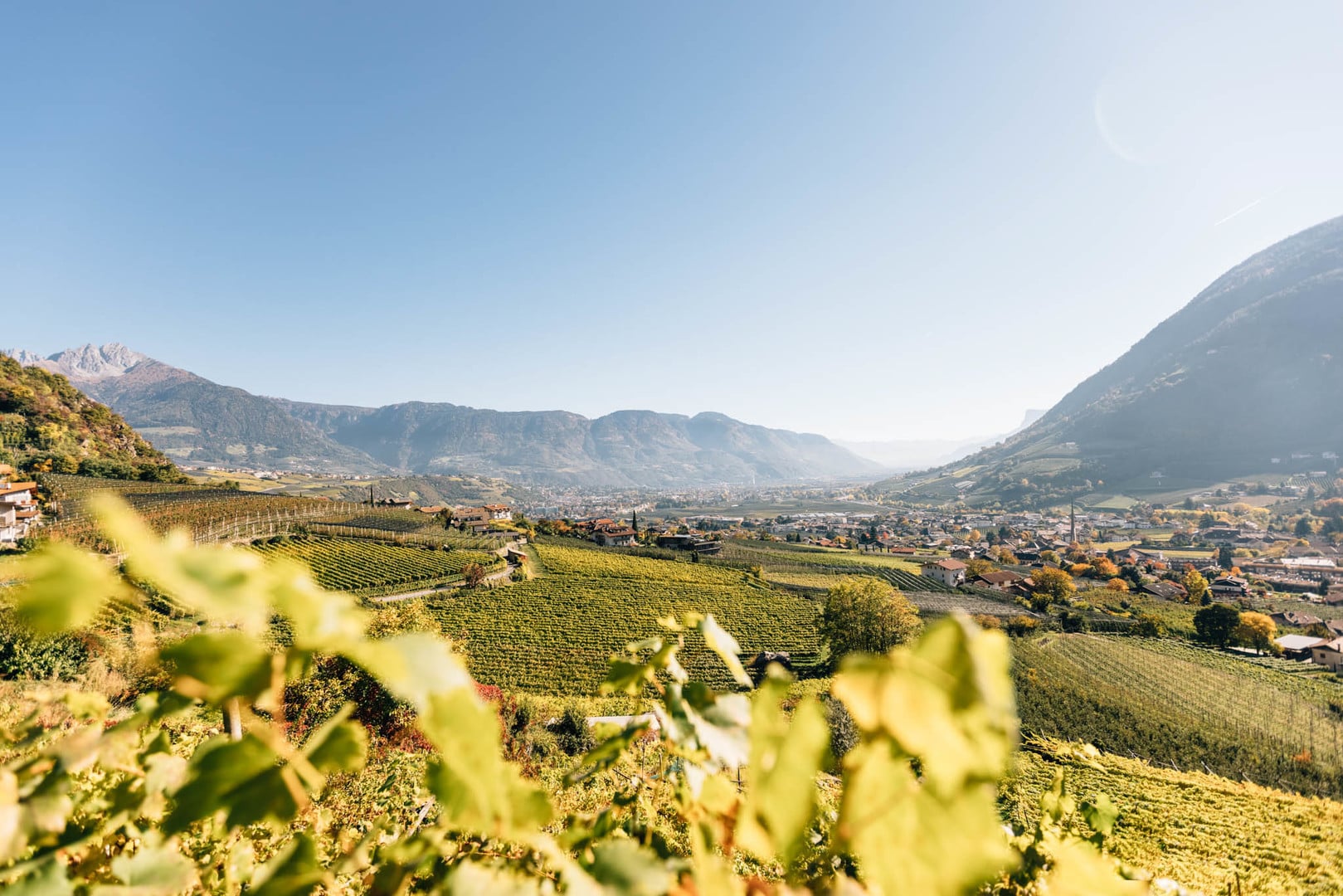 Der Talblick vom Berg
