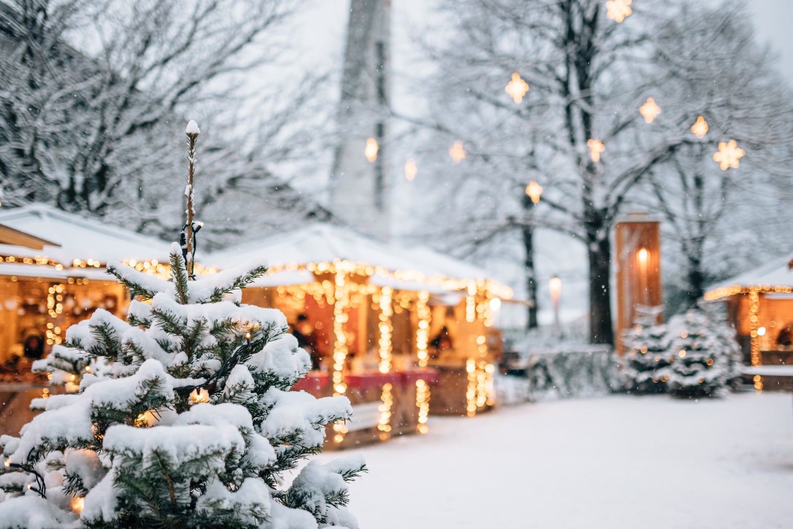 Winter Wunderland in Algund