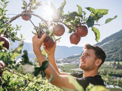 Produzione locale