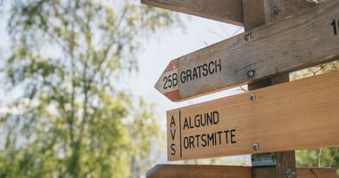 There are so many beautiful paths to choose from