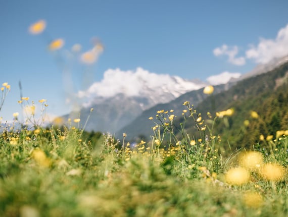 Un posto in tutti i colori