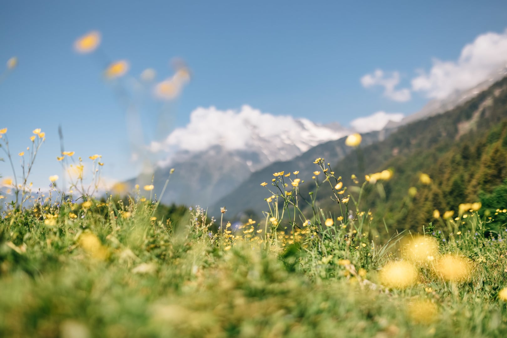 A place in all colours