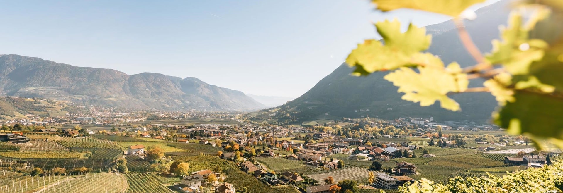 Panorama above Algund