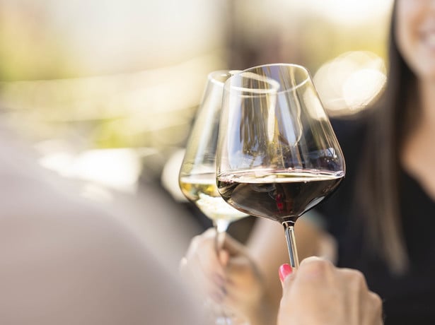 Anteprima Merano WineFestival