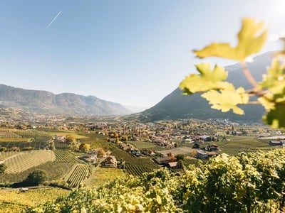 Panorama above Algund