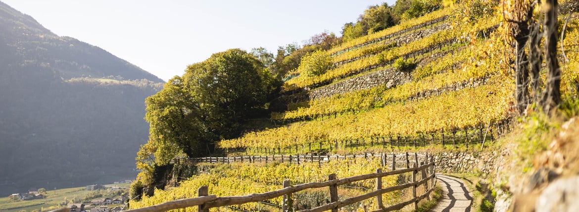 La roggia di Aqua di Lagundo nello splendore autunnale