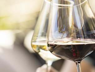 Alto Adige Wine Tasting Lagundo