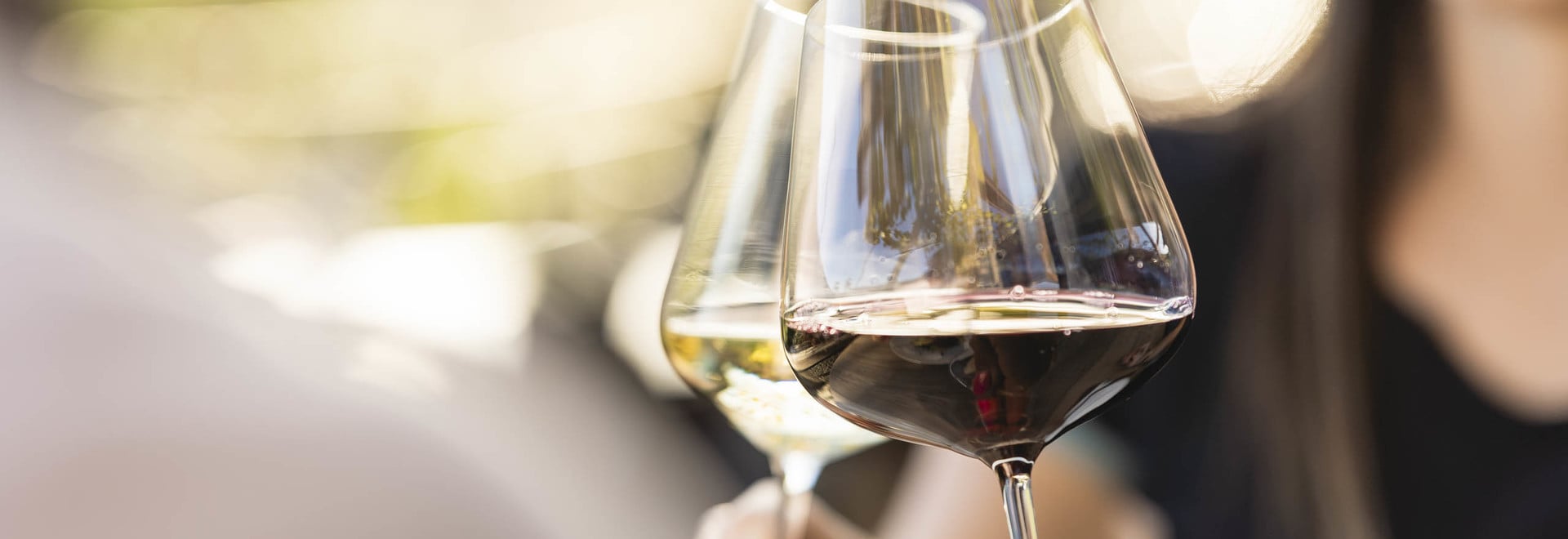 South Tyrol Wine Pleasure Algund