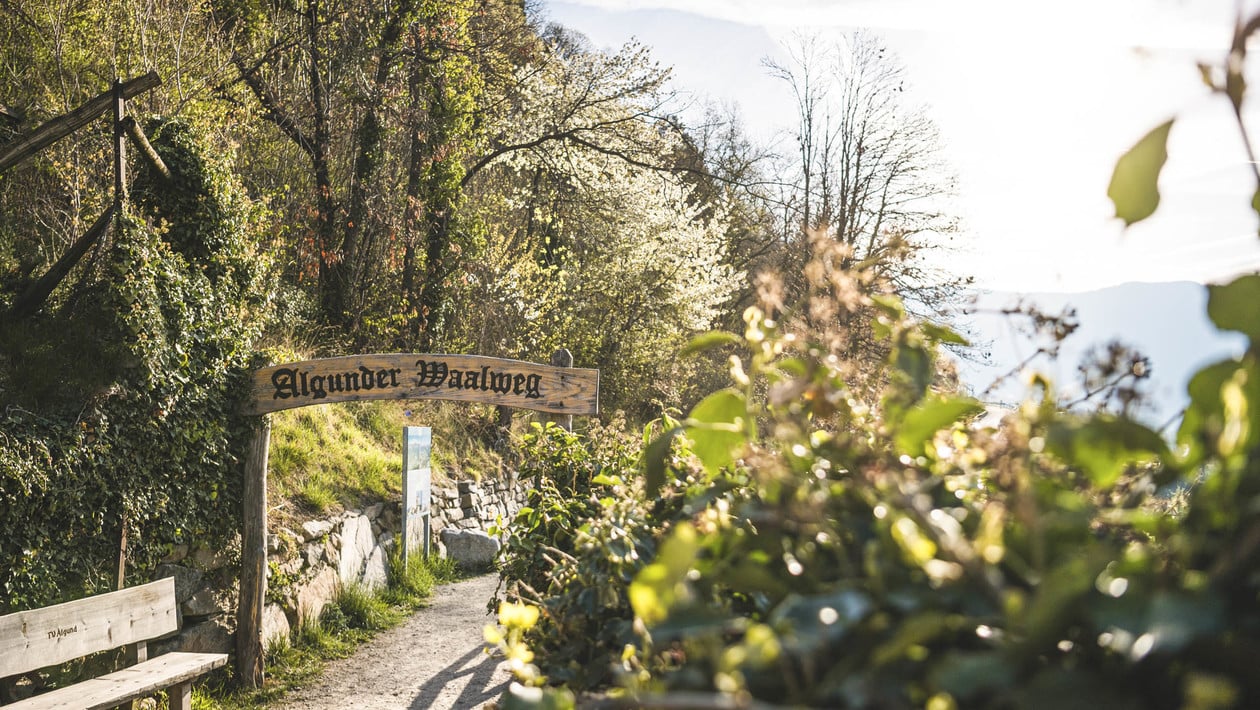 The Algund Waalweg canal trail