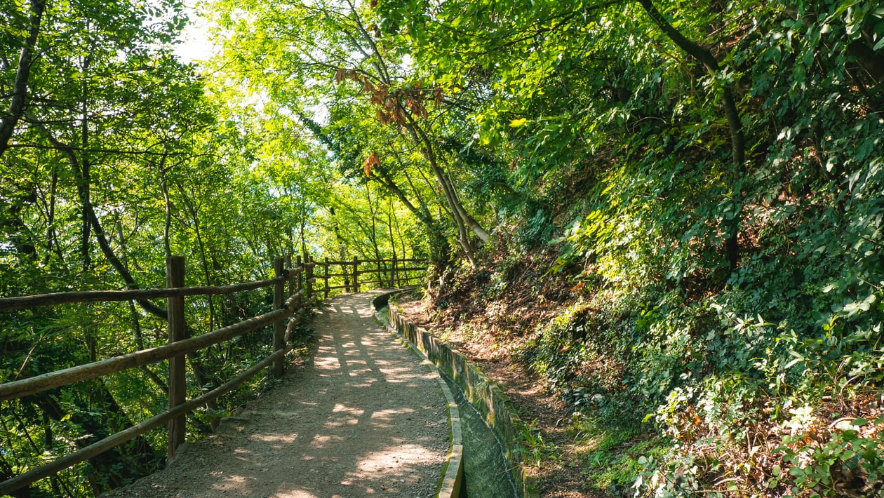 The Algund Waalweg canal trail