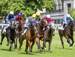 L'ippodromo di Merano "ALGUND DAY"
