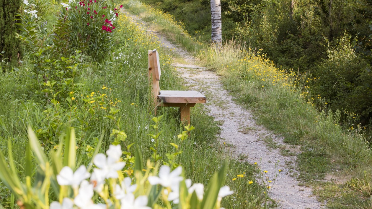 Ridurre i rifiuti, proteggere la natura