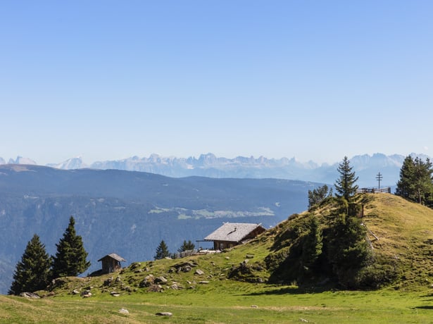 Müll vermeiden, Natur bewahren