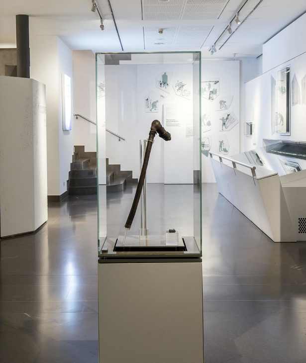 Fossilfund in Algund