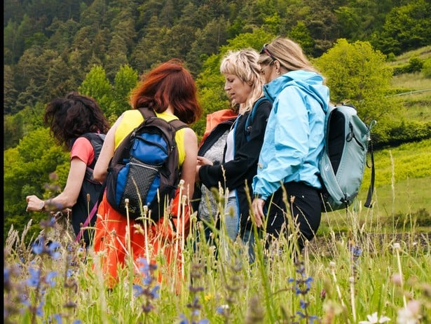Which plants are protected in Algund?