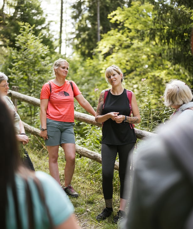 Welche Pflanzen stehen in Algund unter Naturschutz?