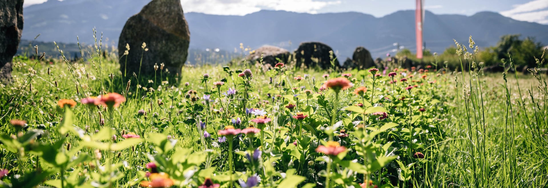 Algund Crowns the Most Beautiful Natural Gardens 2025