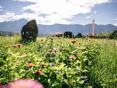 Lagundo premia i giardini naturali più belli 2025