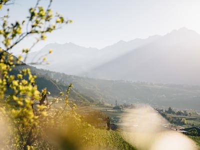 Bevölkerungsumfrage für Algunderinnen und Algunder