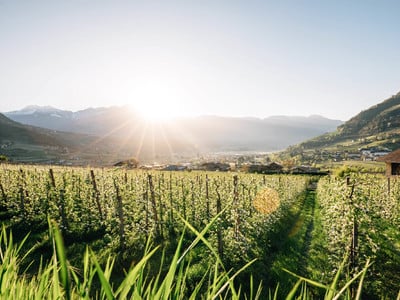 Indagine demoscopica per i residenti di Lagundo