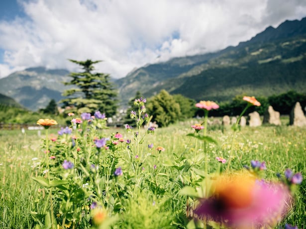 Della sostenibilità di Lagundo