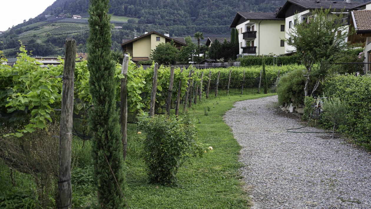 Natural Garden Competition