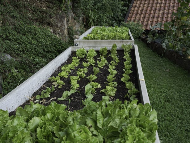 Concorso giardini naturali