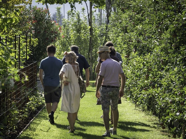 Natural Garden Competition