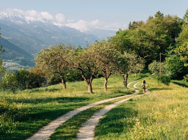 Ökologische Nachhaltigkeit (Natur- und Umweltschutz)