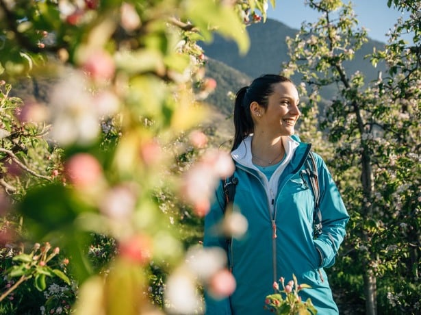 Development of the share of direct employees in tourism