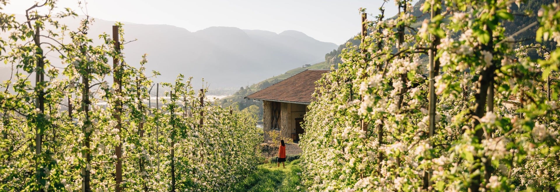 5 ottime ragioni per una vacanza a Lagundo ad aprile