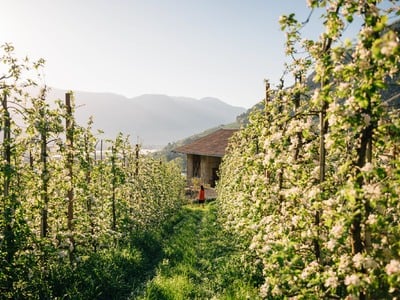 5 Really Good Reasons for an Algund Holiday in April