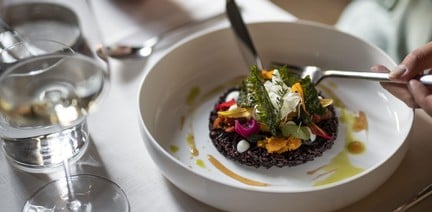 Our gastronomic establishments