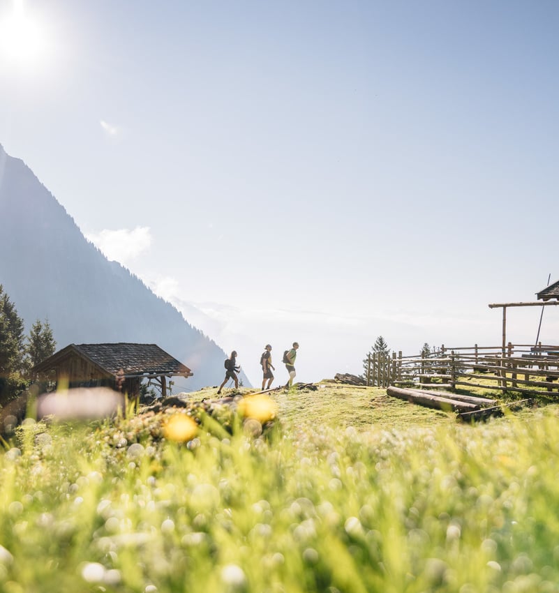 Von 300 bis 3.000 Höhenmeter