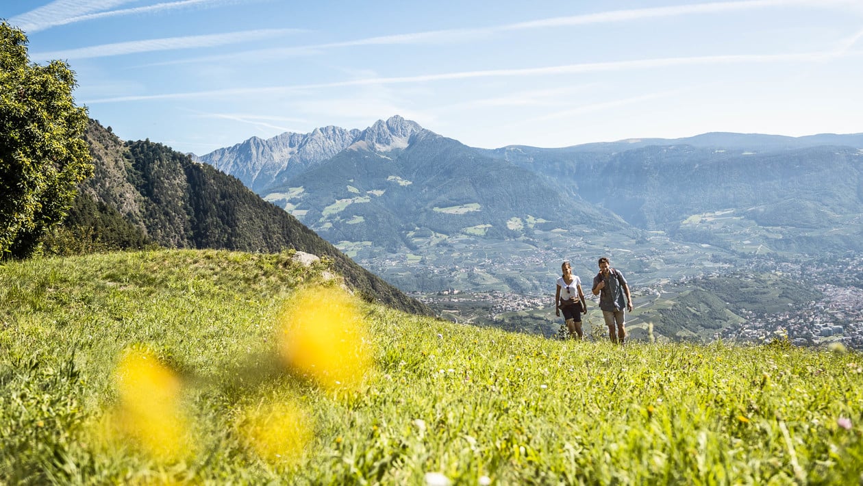 Tropisches Wetter zum Wandern und Flanieren im Sommer