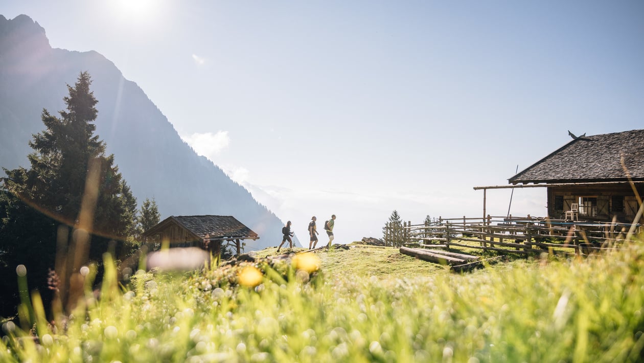Tropisches Wetter zum Wandern und Flanieren im Sommer