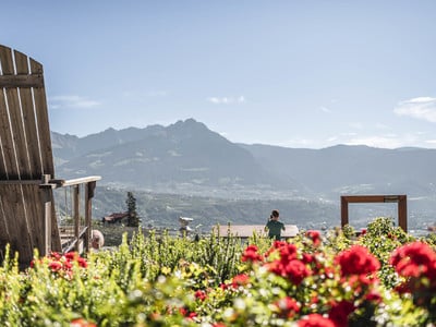 Das mediterane Klima Algunds, Palmen und Zypressen mit Blick auf das Dorf