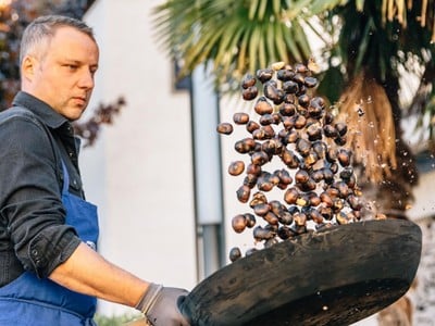 Il clima mediterraneo di Lagundo, palme e cipressi che sovrastano il villaggio